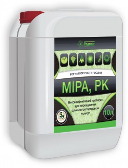 Мира